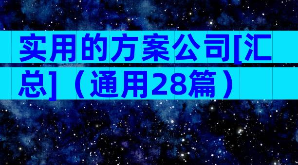 实用的方案公司[汇总]（通用28篇）